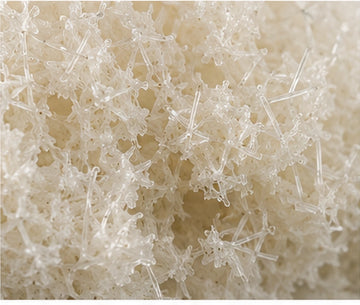 Bio-spicule – kb. 0,003 mm-es spikulák