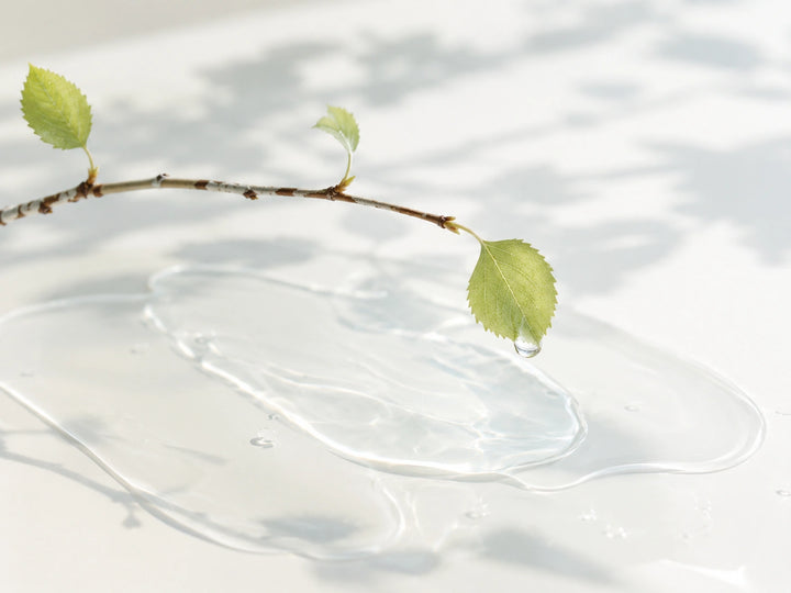 Birch Juice hidratálás – pasztell bőrápolási illusztráció