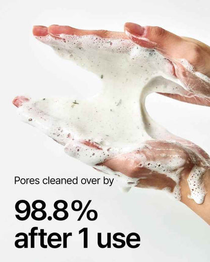 Anua - Heartleaf Quercetinol Pore Deep Cleansing Foam, 150 ml – termékbemutató részlet