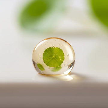 Zöld növényi kivonatot idéző csepp a Dr. Ceuracle matcha és zöld tea hatóanyagfókuszához